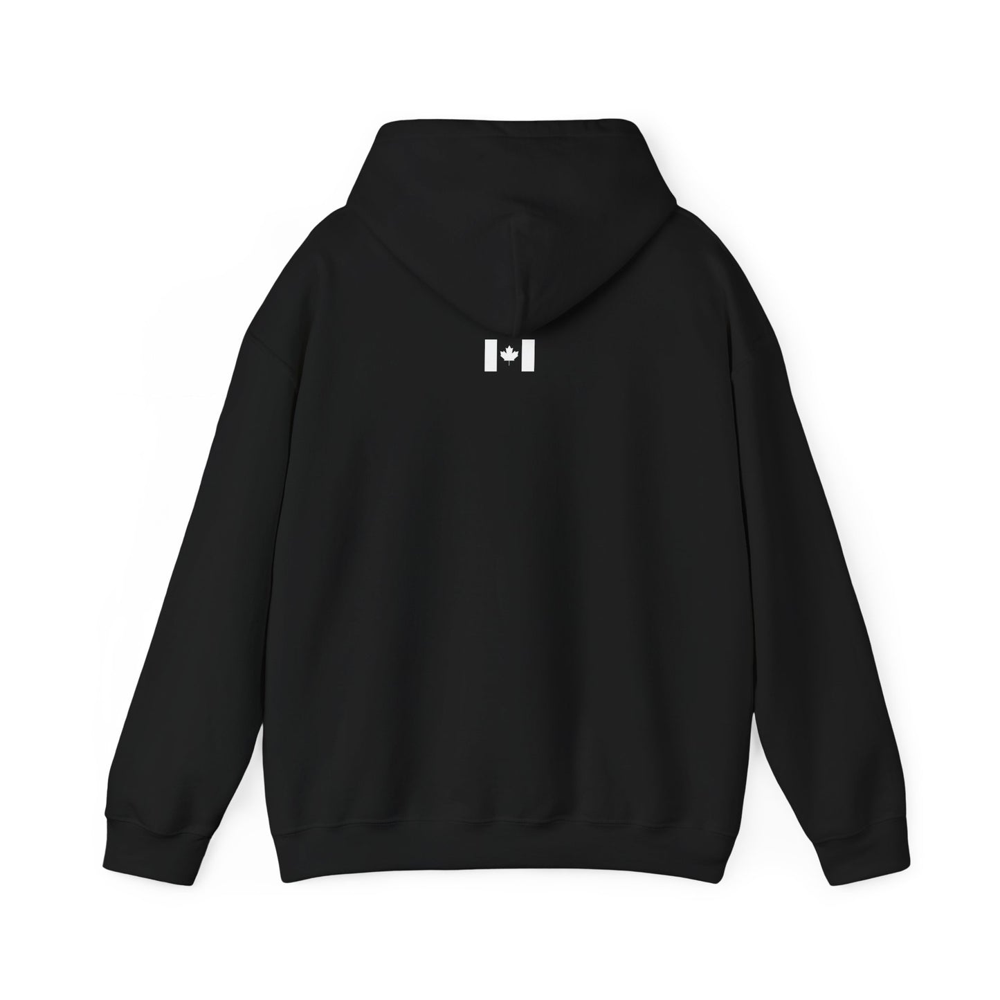 Unisex Hoodie - All I Want In Life Is...