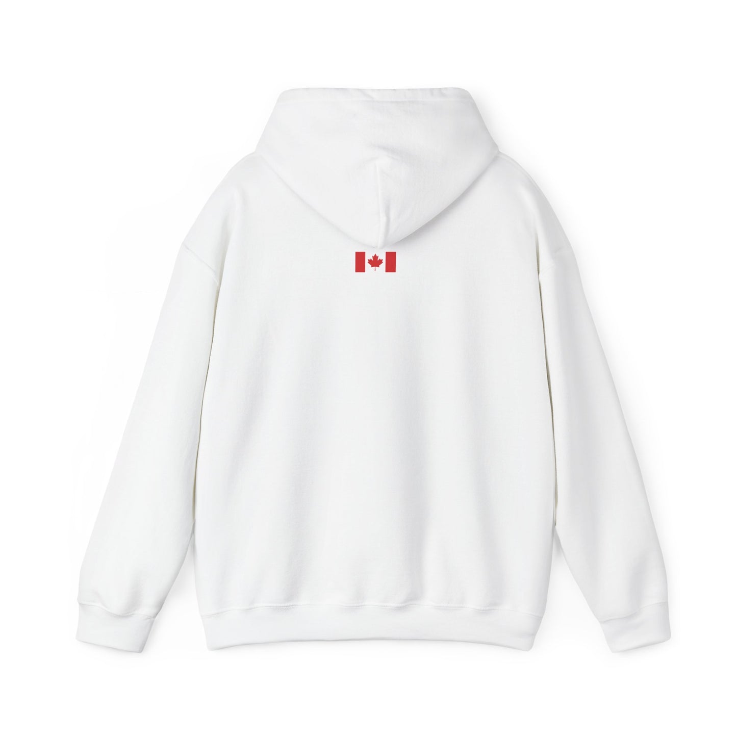 Unisex Hoodie - All I Want In Life Is...