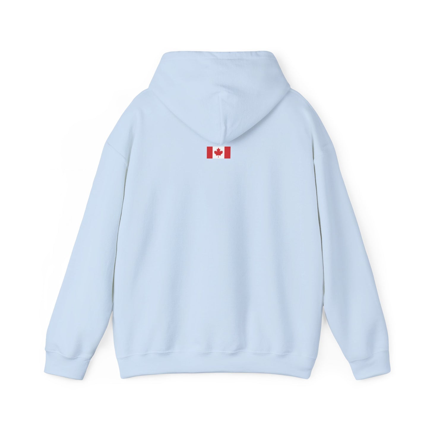 Unisex Hoodie - All I Want In Life Is...